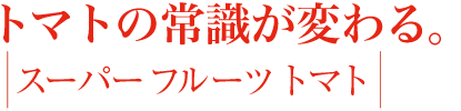 トマトの常識が変わる。｜スーパーフルーツトマト NKKアグリドリーム