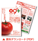 資料ダウンロード(PDF)｜スーパーフルーツトマト NKKアグリドリーム