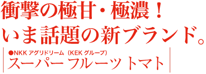 ご購入方法 通販サイト｜スーパーフルーツトマト NKKアグリドリーム